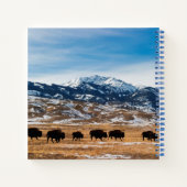 Bisonの移行 ノートブック (裏面)