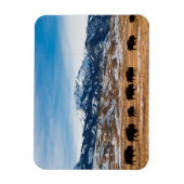 Bisonの移行 マグネット (縦)