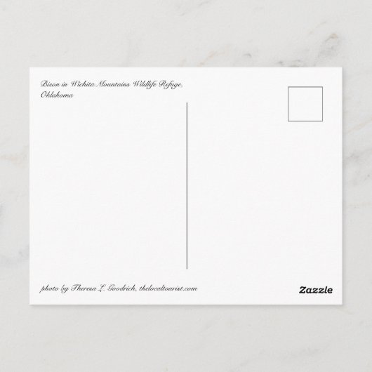 Bisonはがき ポストカード (裏面)