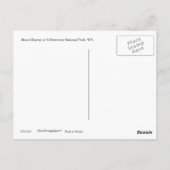 Bisonクローズアップ葉書 ポストカード (裏面)