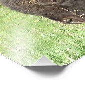 Bisonクローズアップ フォトプリント (角)