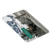 BIson,イエローストーンエントランス，ガーディナー，MT マグネット (右側)