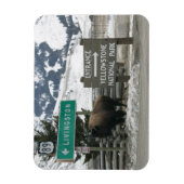 BIson,イエローストーンエントランス，ガーディナー，MT マグネット (縦)