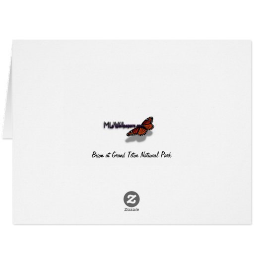 Bison at Grand Teton国立公園写真 (裏面横)