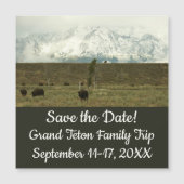 Bison at Grand Teton国立公園写真 (正面)