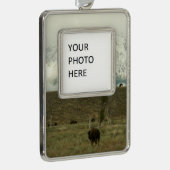 Bison at Grand Teton国立公園写真 シルバープレートフレームオーナメント (右)