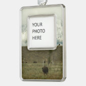 Bison at Grand Teton国立公園写真 シルバープレートフレームオーナメント (左)