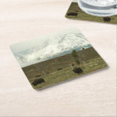 Bison at Grand Teton国立公園写真 スクエアペーパーコースター (アングル)