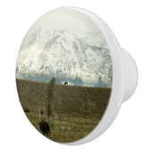 Bison at Grand Teton国立公園写真 セラミックノブ (右)