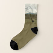 Bison at Grand Teton国立公園写真 ソックス (左外側)