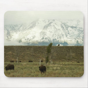 Bison at Grand Teton国立公園写真 マウスパッド