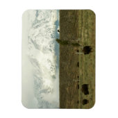 Bison at Grand Teton国立公園写真 マグネット (縦)