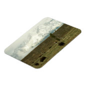 Bison at Grand Teton国立公園写真 マグネット (左側)