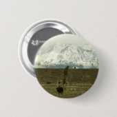 Bison at Grand Teton国立公園写真 缶バッジ (正面&裏面)