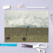 Bison at Grand Teton国立公園写真 薄葉紙 (クラフト)