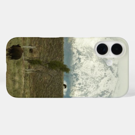 Bison at Grand Teton国立公園写真 Case-Mate iPhoneケース (裏面 (横))