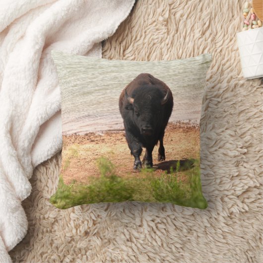 Bison At The Water クッション (ブランケット)