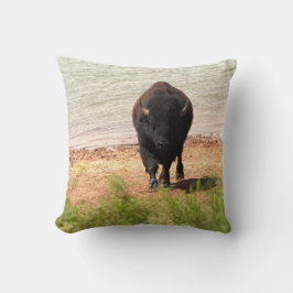 Bison At The Water クッション