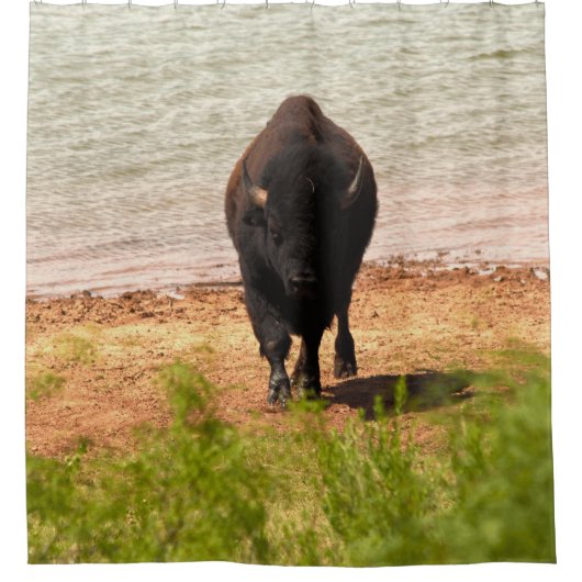 Bison At The water シャワーカーテン (正面)