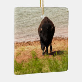 Bison at the Water セラミックオーナメント (右)