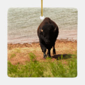 Bison at the Water セラミックオーナメント (裏面)