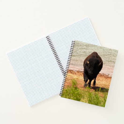 Bison at the Water ノートブック (内部)