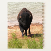 Bison at the Water プランナー手帳 (裏面)