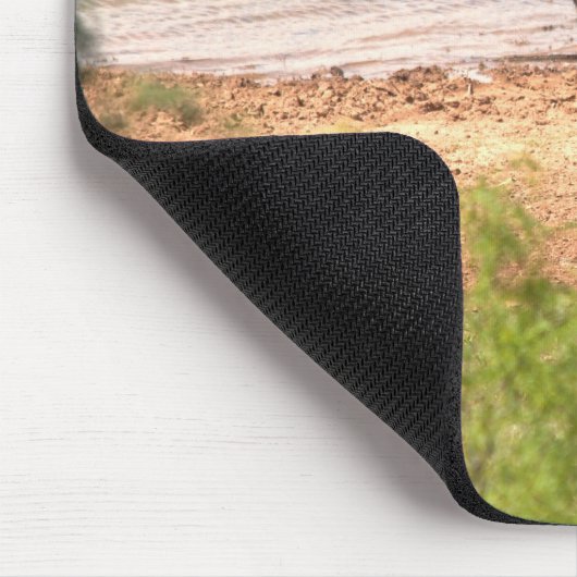 Bison at the Water マウスパッド (コーナー)