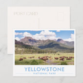 Bison at Yellowstone National Park Summer Mountain ポストカード (正面/裏面)