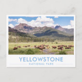 Bison at Yellowstone National Park Summer Mountain ポストカード (正面)
