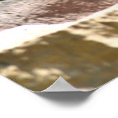 Bison at zoo ポスター (角)