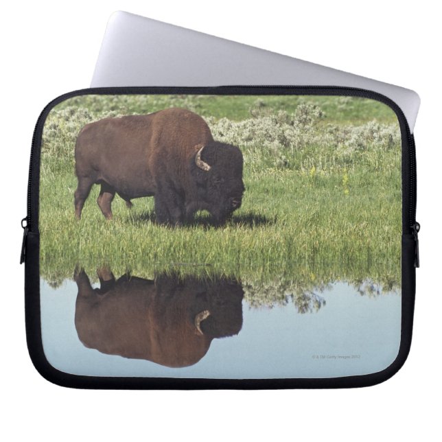 Bison (Bison Bison)オングラスメドウ ラップトップスリーブ (正面)