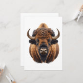 Bison / Buffalo カード (正面/裏面インサイチュ)