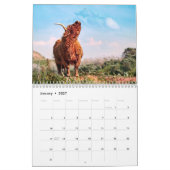 Bison Buffalo 2025カレンダー カレンダー (1月 2027)