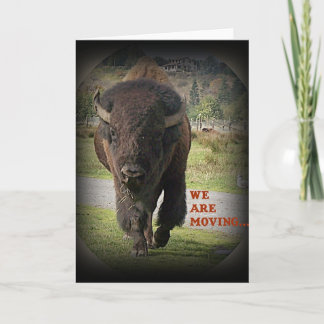 Bison Buffalo Animal We Are Moving Card 案内状