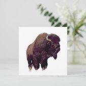 Bison Buffalo Card (スタンド正面)