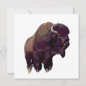 Bison Buffalo Card (正面)