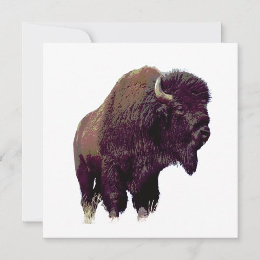 Bison Buffalo Card (正面)