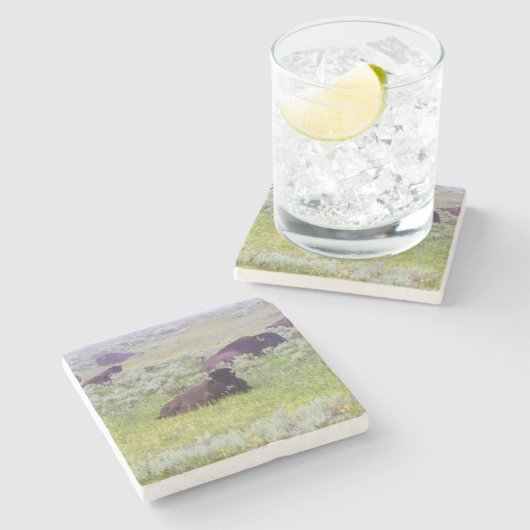 Bison Coaster ストーンコースター (横)