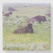 Bison Coaster ストーンコースター (正面)