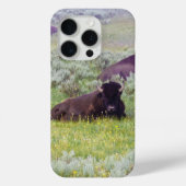 Bison Dreams Phone Wallet Case-Mate iPhoneケース (裏面)