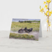 Bison Dust Bath, Yellowstone National Park Wyoming カード (黄色い花)