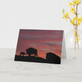 Bison family カード (黄色い花)