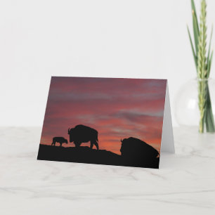 Bison family カード