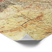 Bison, from the Caves at Altamira, c.15000紀元前 ポスター (角)