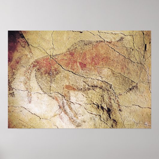 Bison from the Caves at Altamira, c.15000 BC ポスター (正面)