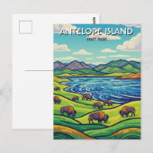 Bison in Antelope Island State Park Utah ポストカード (正面/裏面)