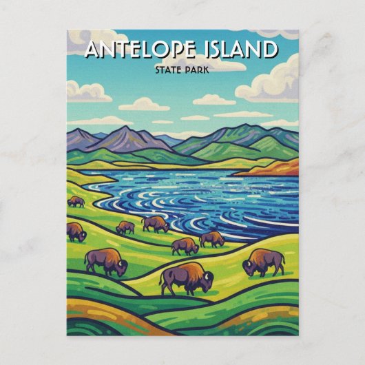Bison in Antelope Island State Park Utah ポストカード (正面)