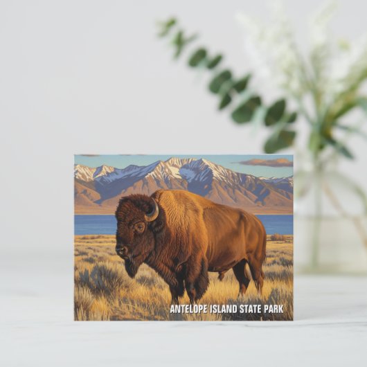 Bison in Antelope Island State Park Utah ポストカード (スタンド正面)