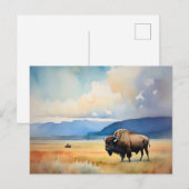 Bison in the Meadow ポストカード (正面/裏面)